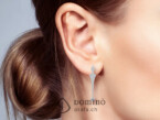 Diamonds earrings 